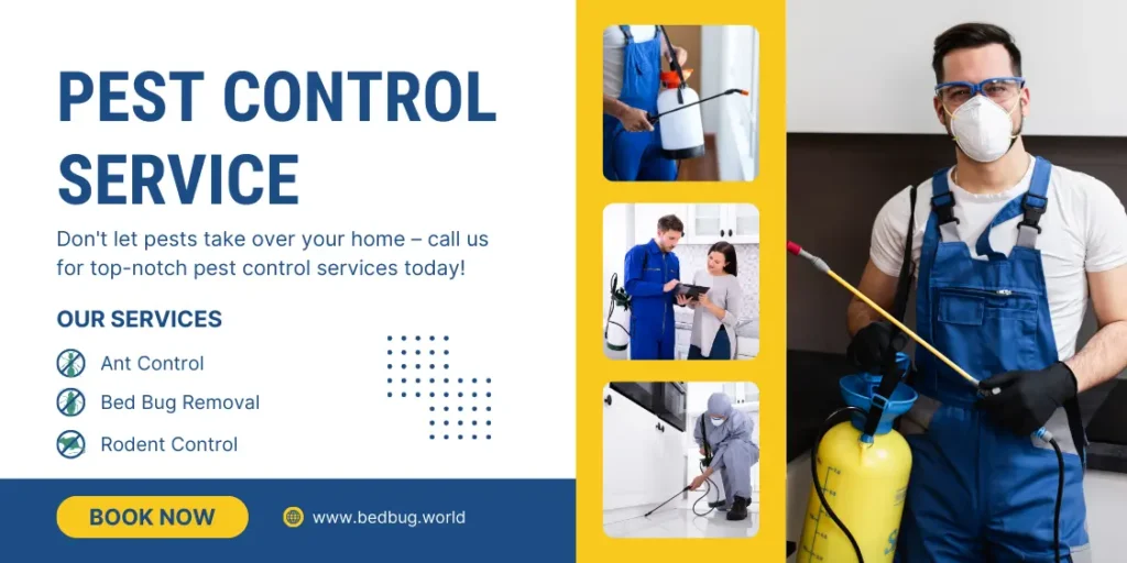 bedbug-pest-control-in-pune-1